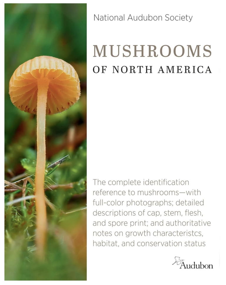 National Audubon Society: Mushrooms of North America